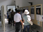 パネル展示の様子